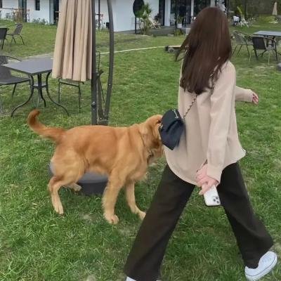 水漾透明谜团之意外奢华